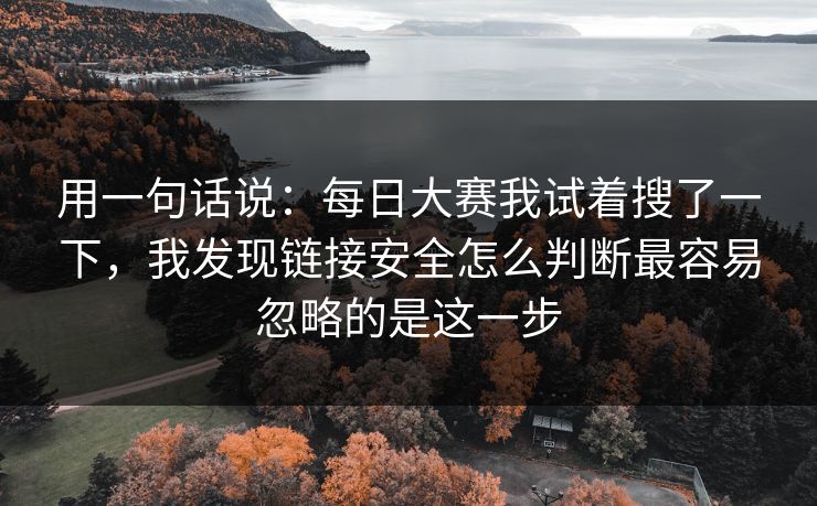 用一句话说：每日大赛我试着搜了一下，我发现链接安全怎么判断最容易忽略的是这一步